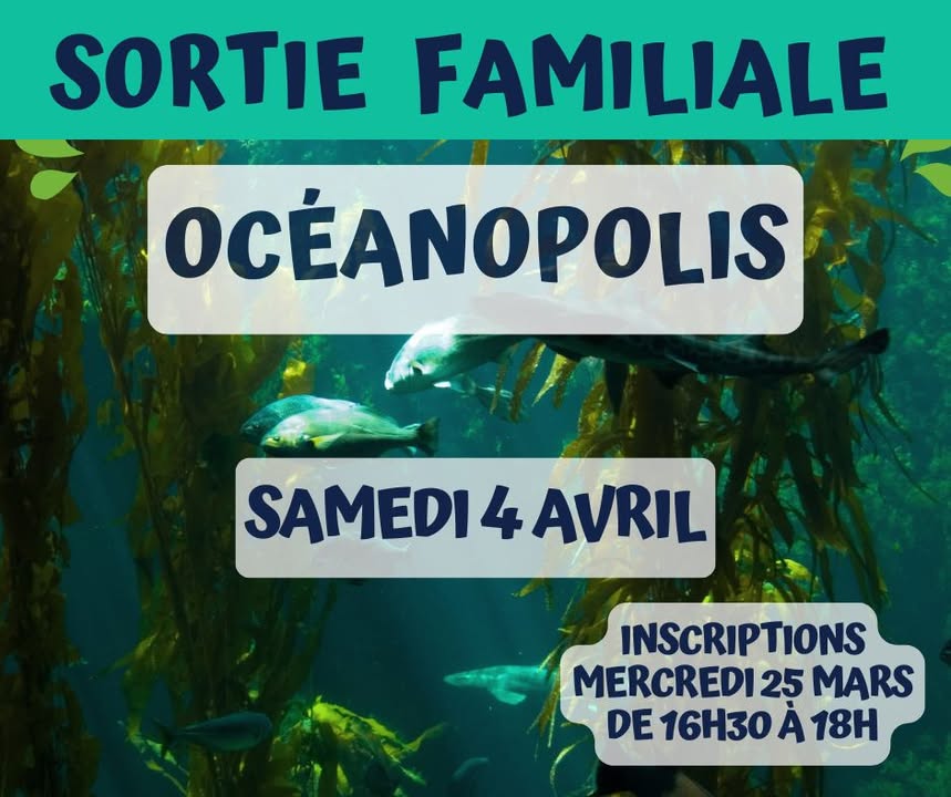 Centre social et culturel  de Bellevue